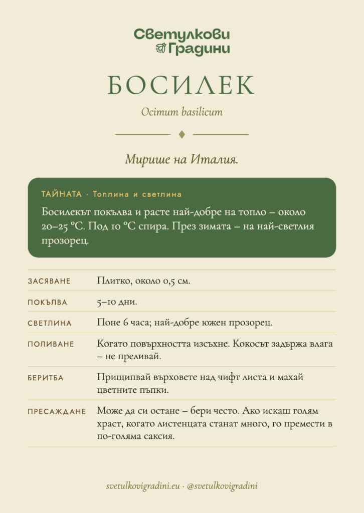 Карта за грижа: Босилек