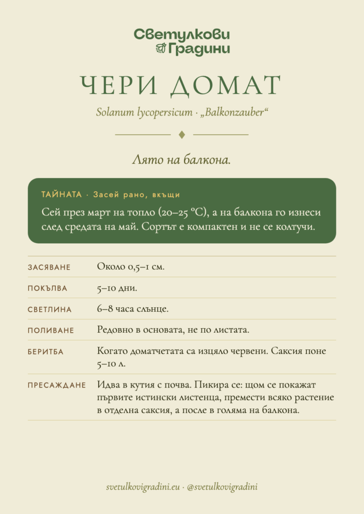 Карта за грижа: Чери домат