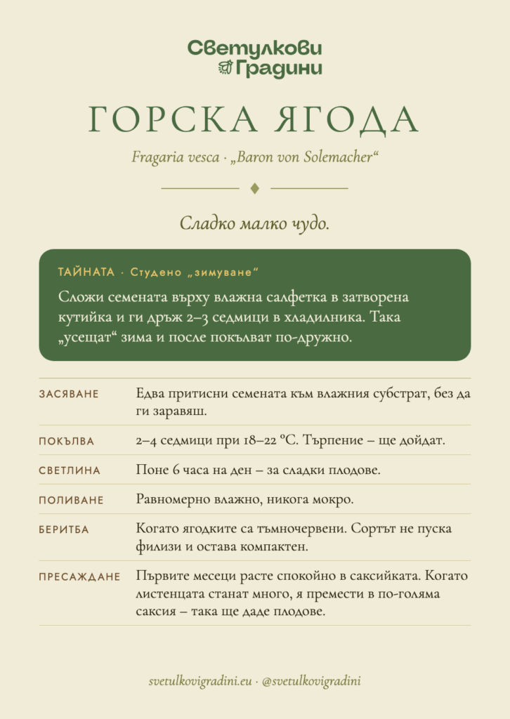 Карта за грижа: Горска ягода