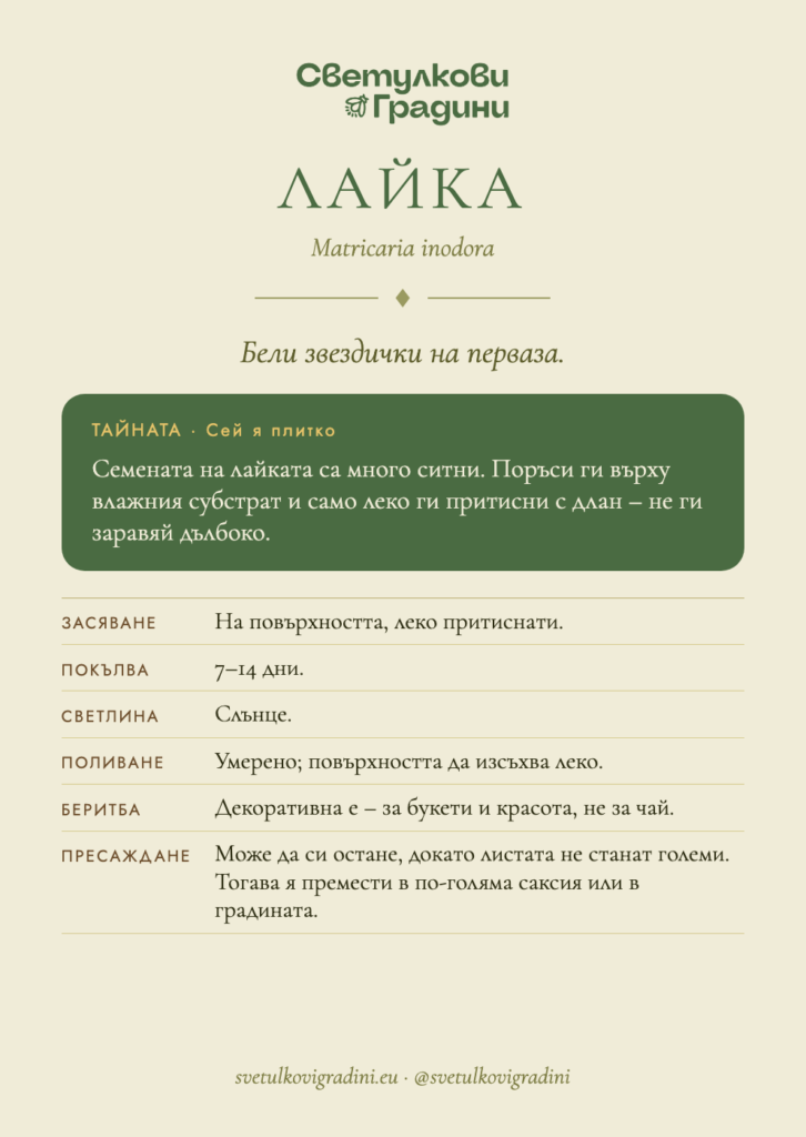 Карта за грижа: Лайка