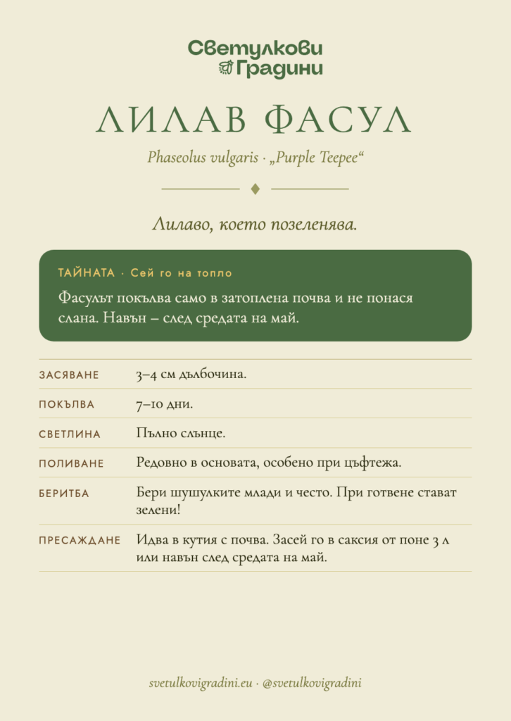 Карта за грижа: Лилав фасул