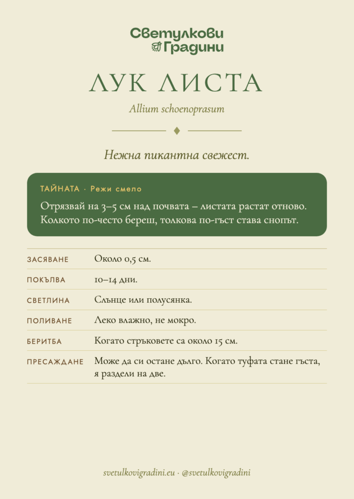 Карта за грижа: Лук листа