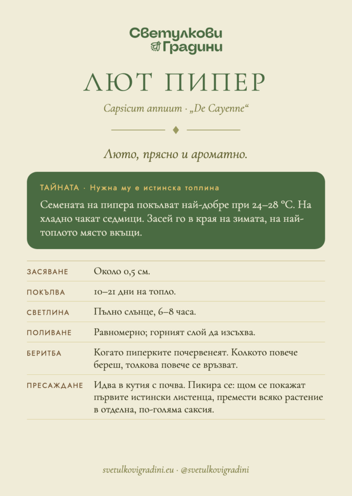 Карта за грижа: Лют пипер