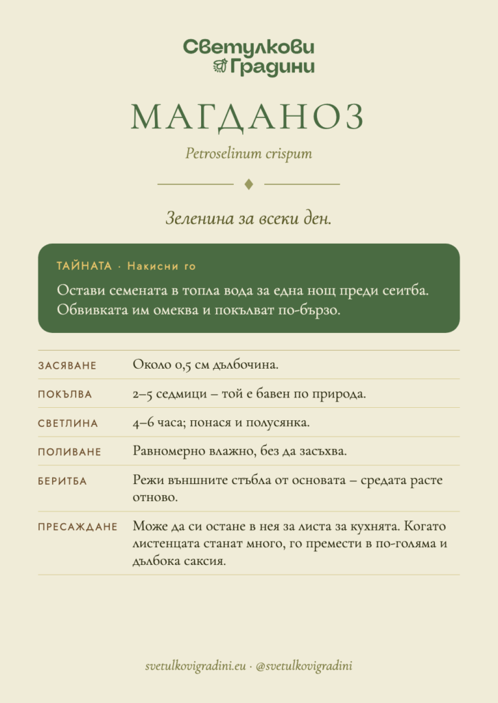 Карта за грижа: Магданоз