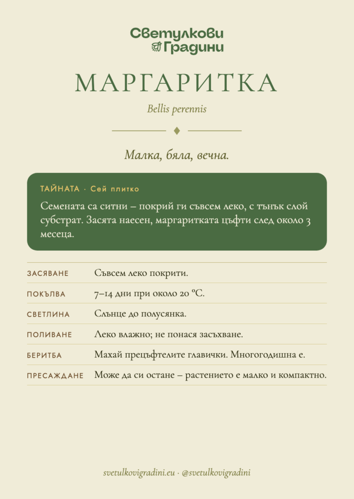 Карта за грижа: Маргаритка
