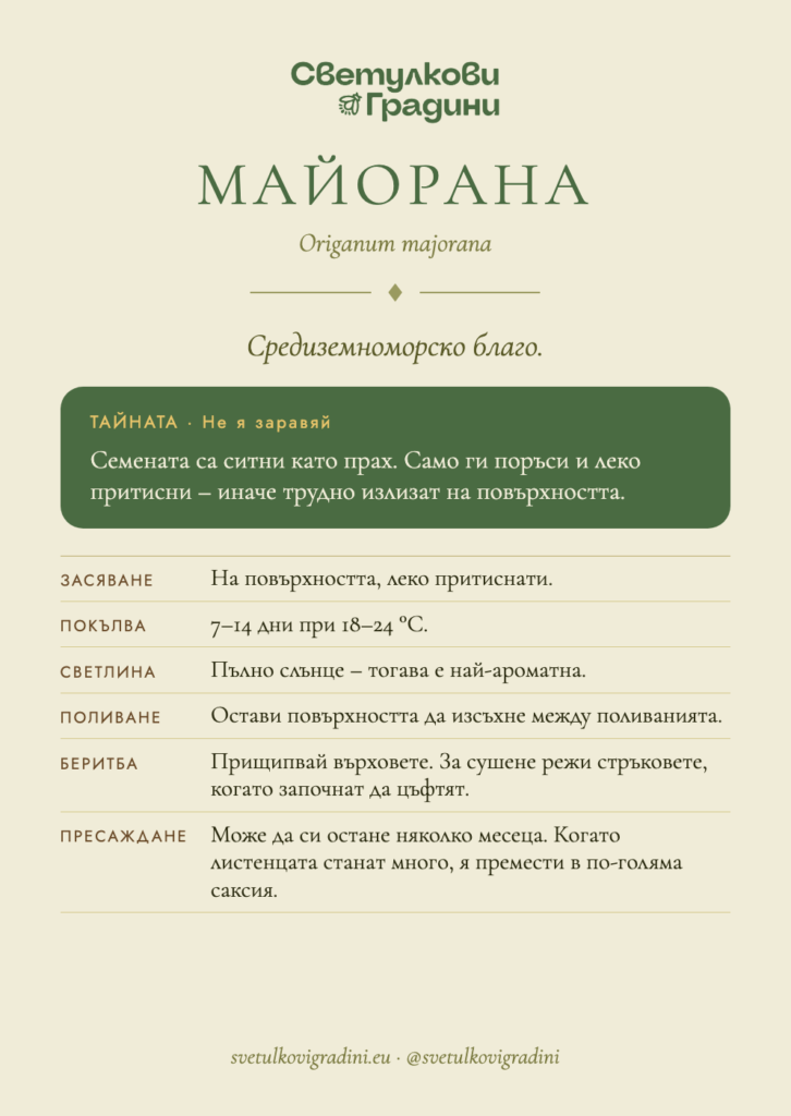 Карта за грижа: Майорана