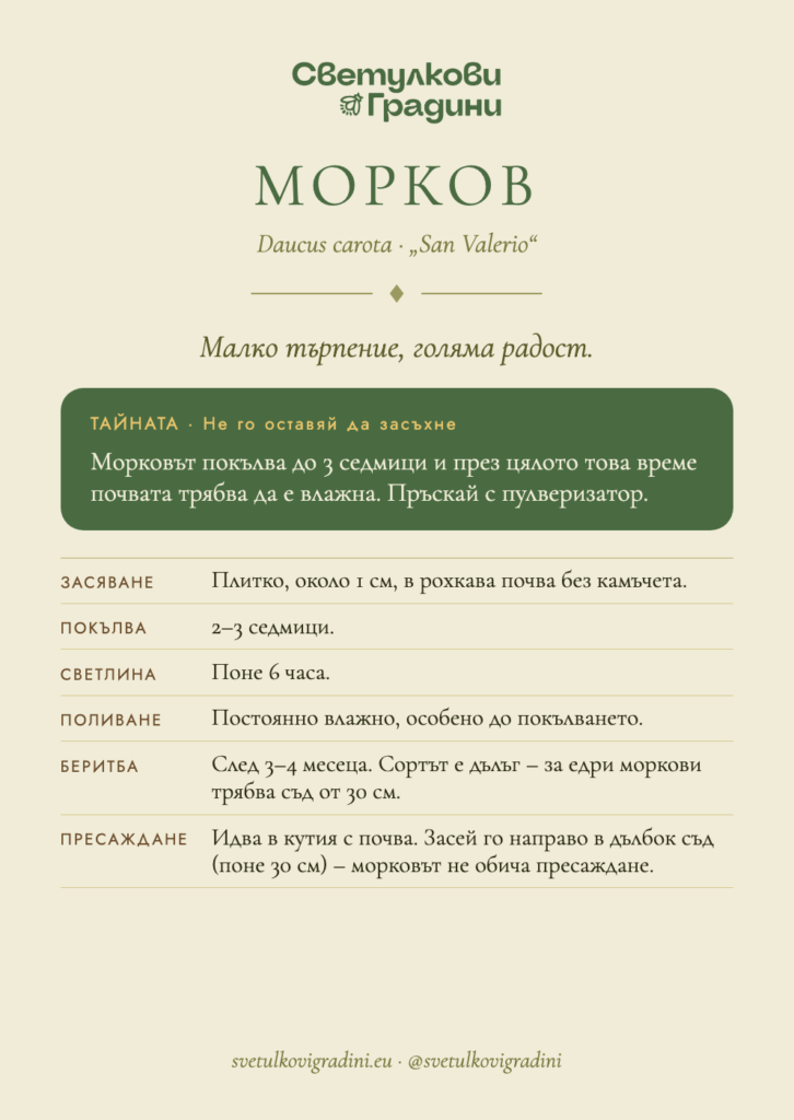 Карта за грижа: Морков
