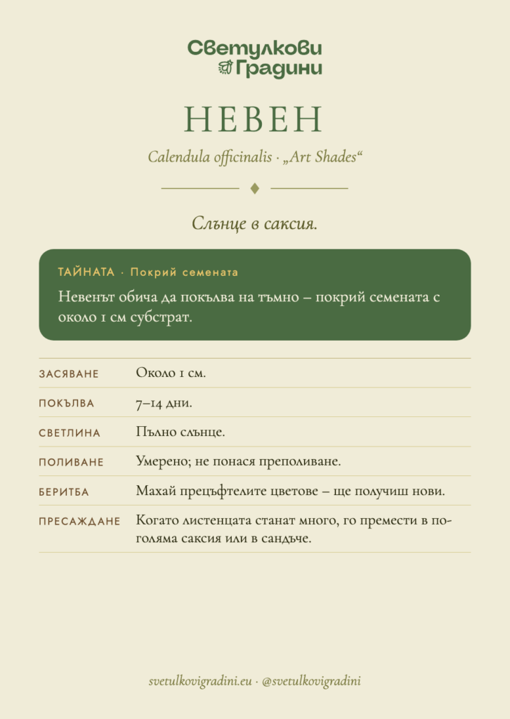 Карта за грижа: Невен