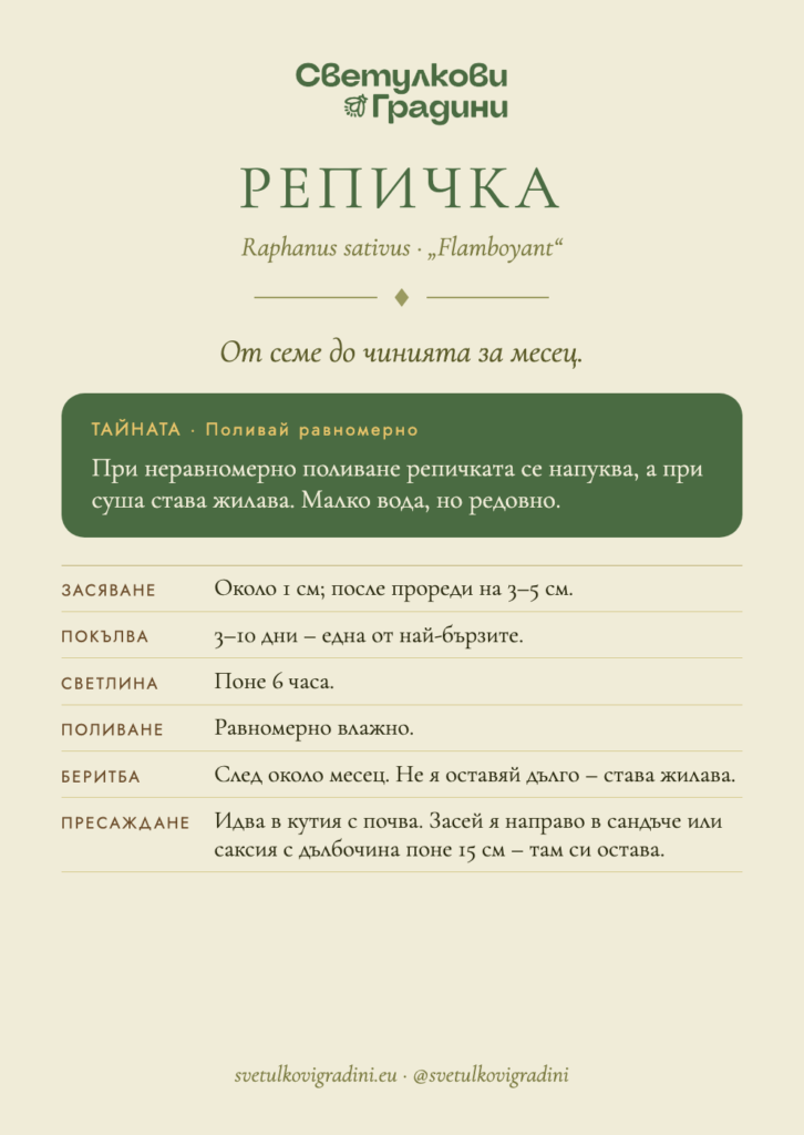 Карта за грижа: Репичка