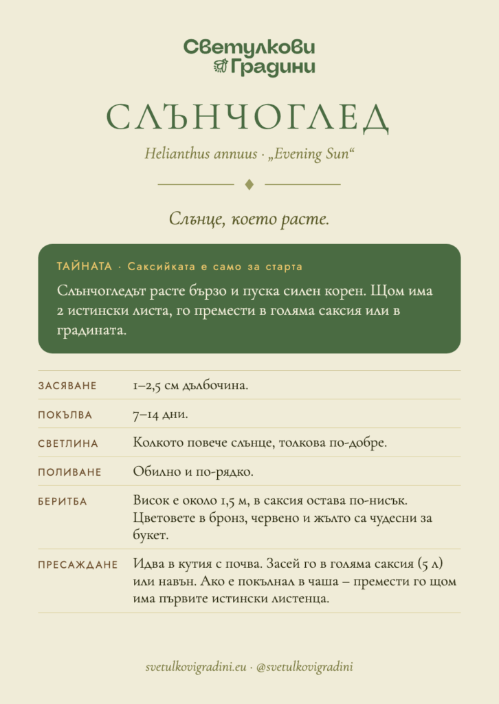 Карта за грижа: Слънчоглед